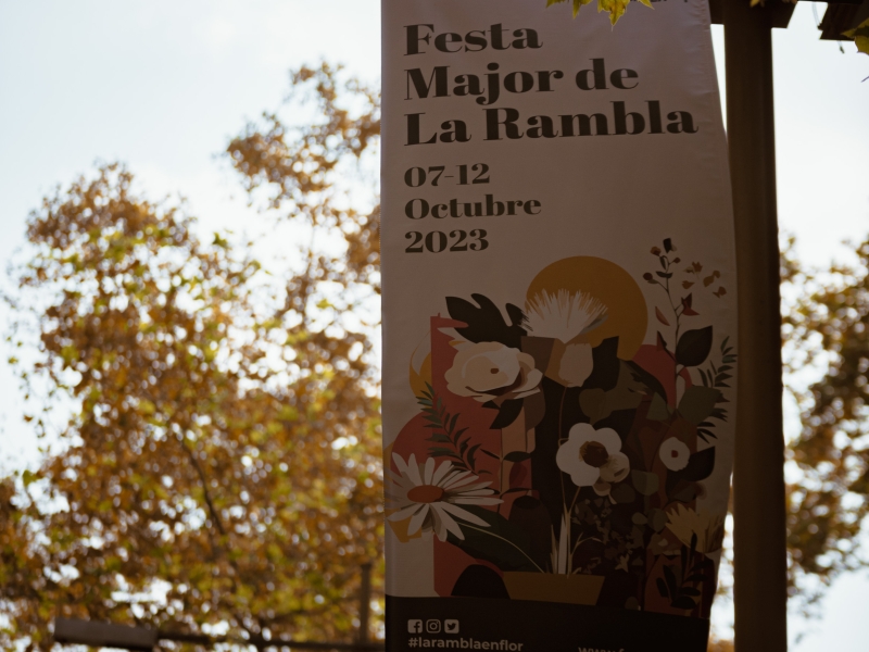La Festa Major de La Rambla  Festa del Roser en Imatges (dissabte 7) (70)
