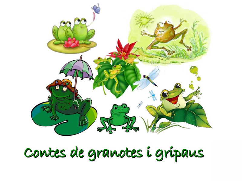 'Contes de granotes i gripaus' a la Biblioteca del Gòtic Andreu Nin