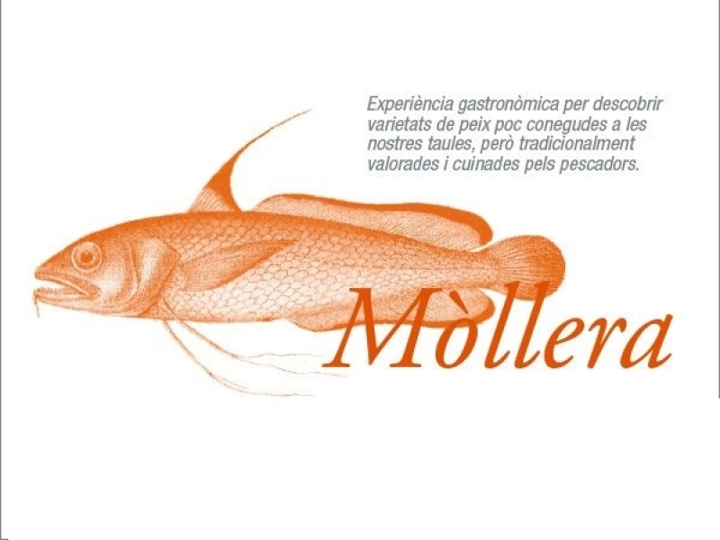 La Mòllera  a “Els oblidats” del Museu Marítim de Barcelona
