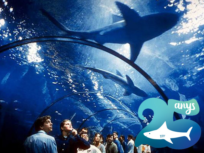 L'Aquàrium de Barcelona fa 25 anys i ho vol celebrar amb tots vosaltres!