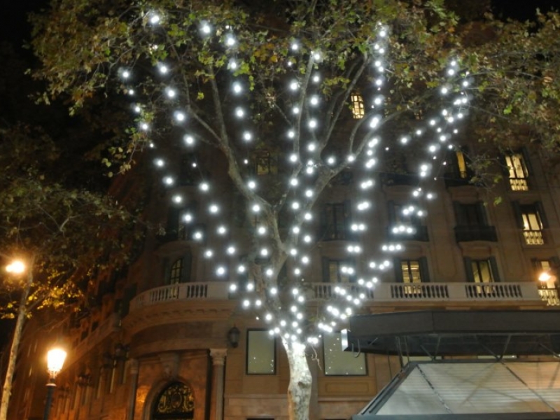 Ja tenim llums de Nadal a La Rambla! (4)