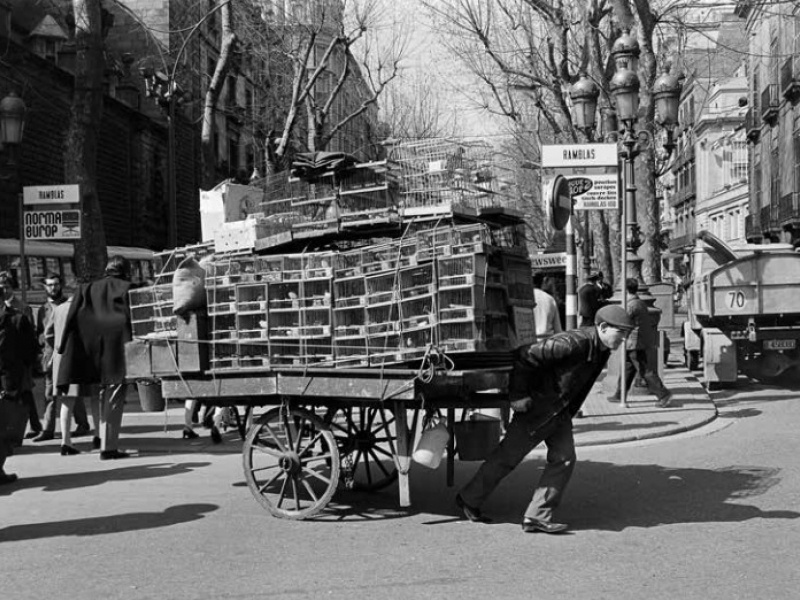 Les fotografies de Jordi Pol al Arxiu Fotogràfic de Barcelona (33)