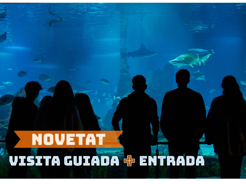 Visites guiades a l'Aquàrium de Barcelona