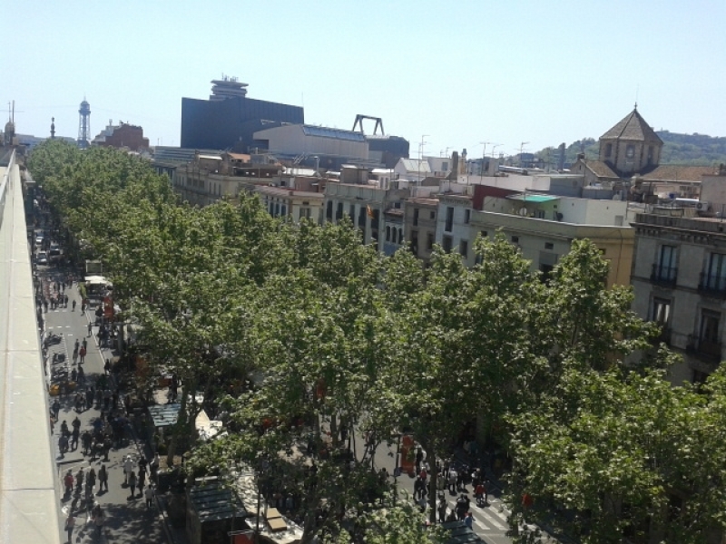 L’Ajuntament de Barcelona atura la concessió de noves llicències d’activitat a La Rambla