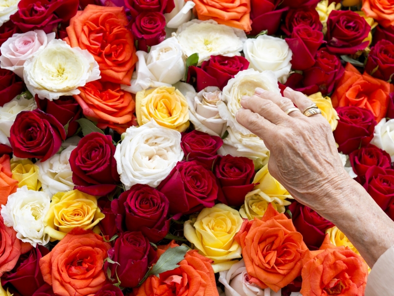 La Festa del Roser omple de flors i d’activitats La Rambla fins al 12 d’octubre