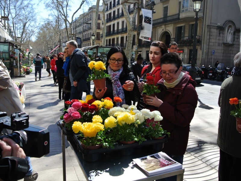 Barcelonins, compreu les vostres flors a La Rambla!