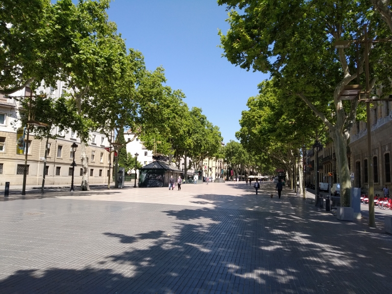 Les entitats representatives del comerç i la restauració de Barcelona alerten que el decret d’alcaldia sobre l’ampliació de terrasses serà difícil d’aplicar en molts casos